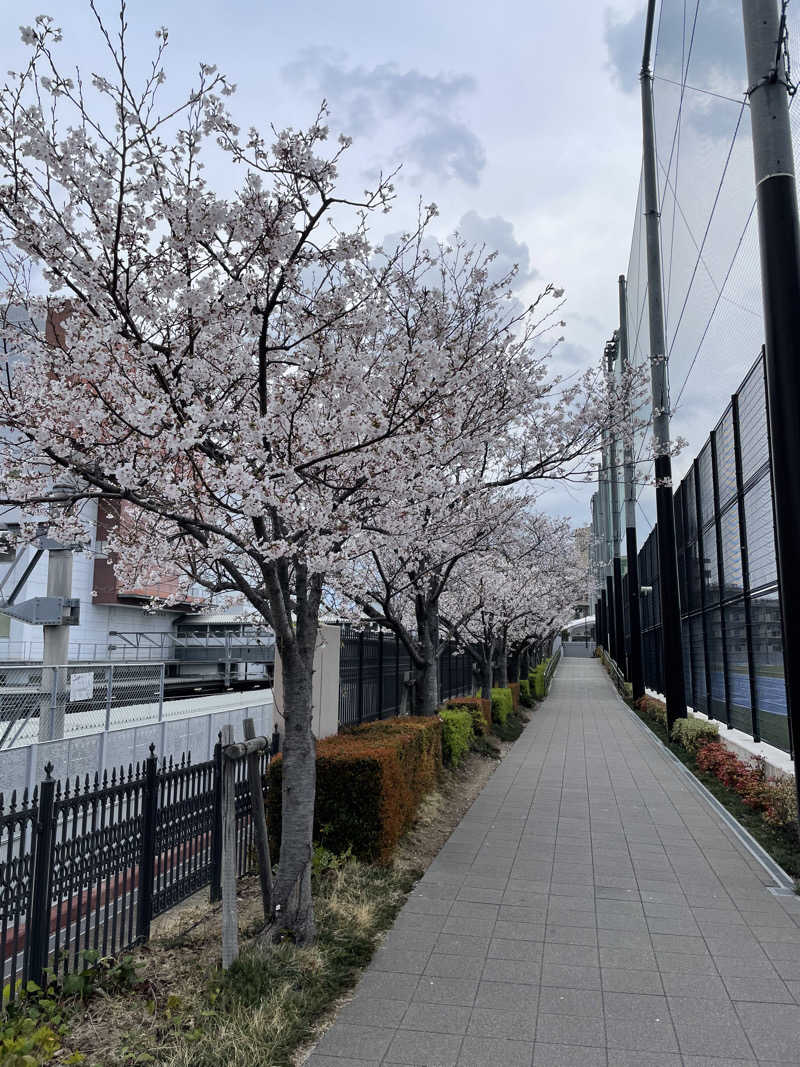 yoyoyoshikawaさんの新宮温泉 ふくの湯のサ活写真