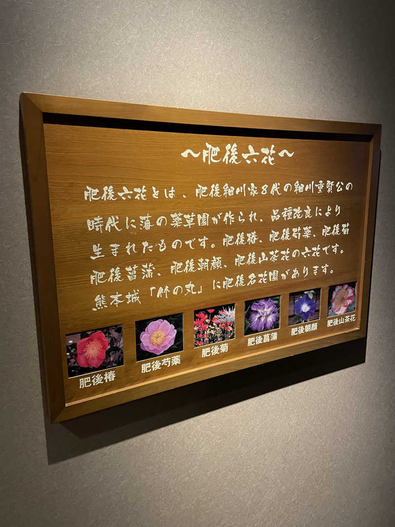 yoyoyoshikawaさんの六花の湯 ドーミーイン熊本のサ活写真