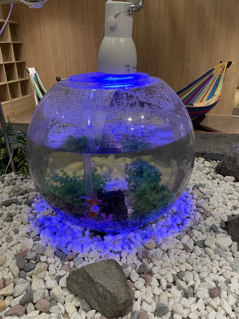 yoyoyoshikawaさんの日帰りの湯  薬王寺の湯 漢方薬湯 偕楽荘のサ活写真