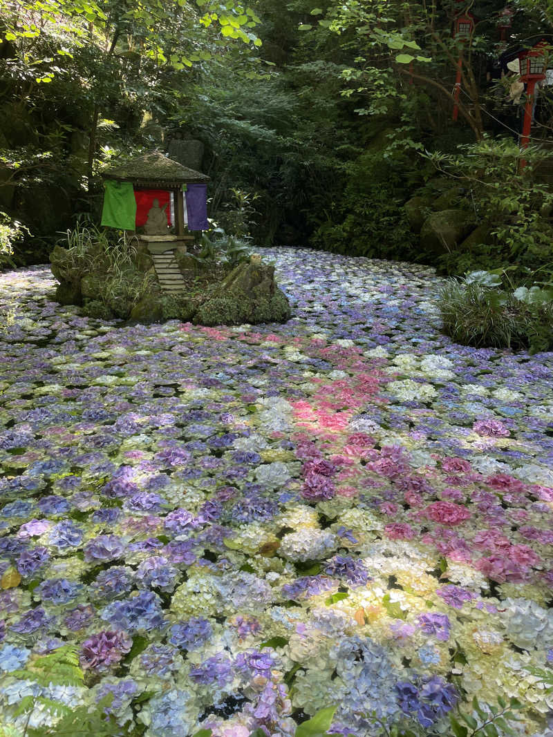 yoyoyoshikawaさんのこうの湯温泉のサ活写真