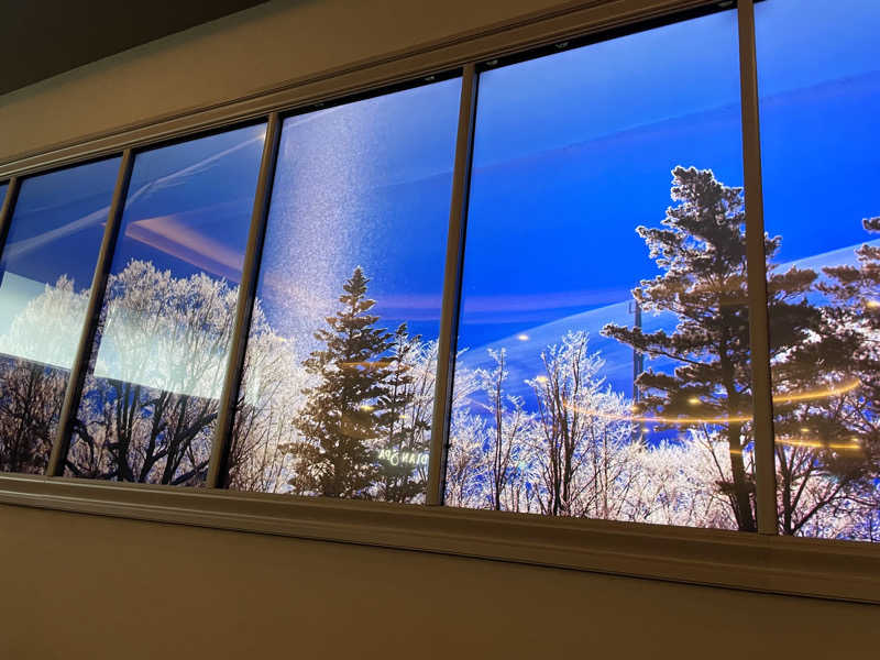 yoyoyoshikawaさんのLedian Spa Ebisu (レディアンスパ恵比寿)のサ活写真