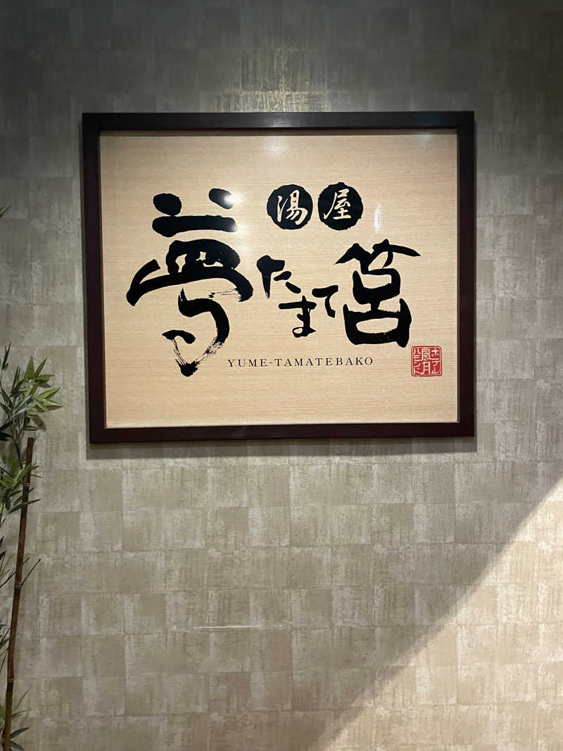 yoyoyoshikawaさんの夢たまて筥のサ活写真