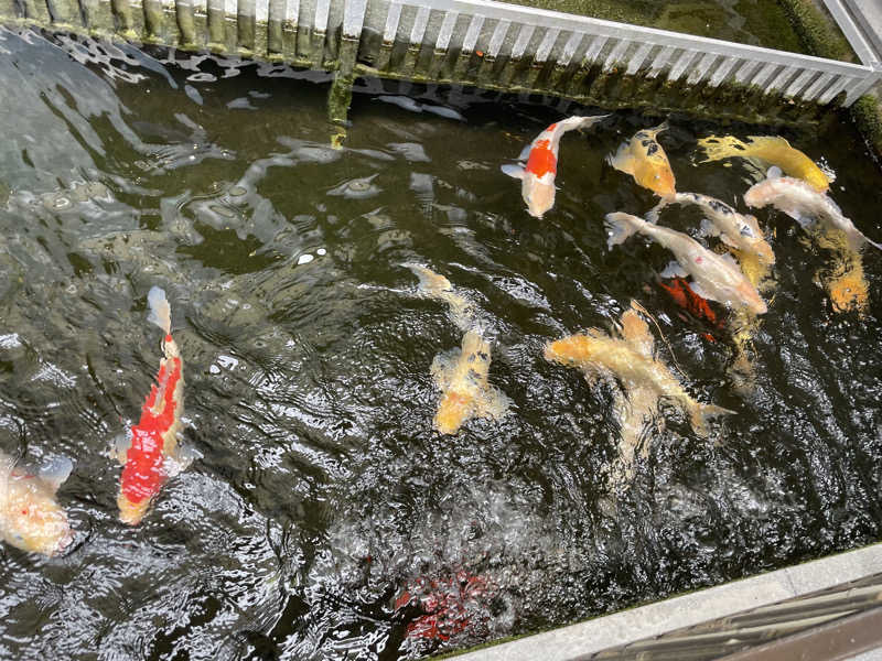 yoyoyoshikawaさんの筑後川温泉 清乃屋(きよのや)のサ活写真