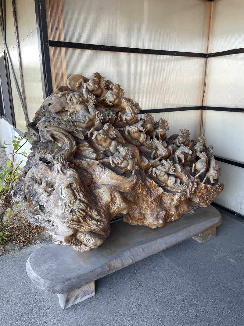 yoyoyoshikawaさんの大川温泉 貴肌美人 緑の湯のサ活写真