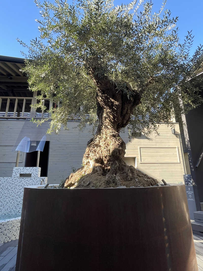 yoyoyoshikawaさんのsauna kolme kylä (サウナ コルメ キュラ)のサ活写真