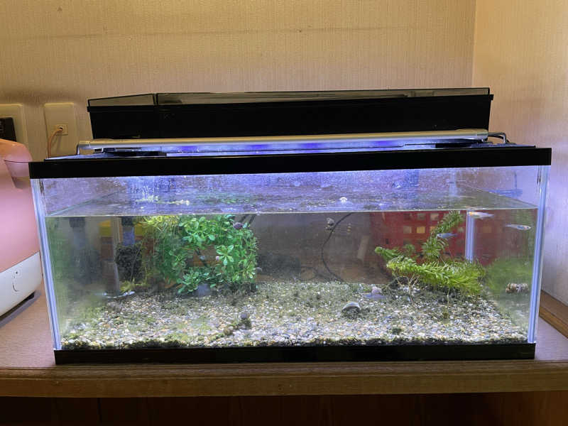 yoyoyoshikawaさんのふるさと交流館なつきの湯のサ活写真