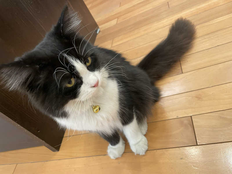 yoyoyoshikawaさんの行田・湯本天然温泉 茂美の湯のサ活写真