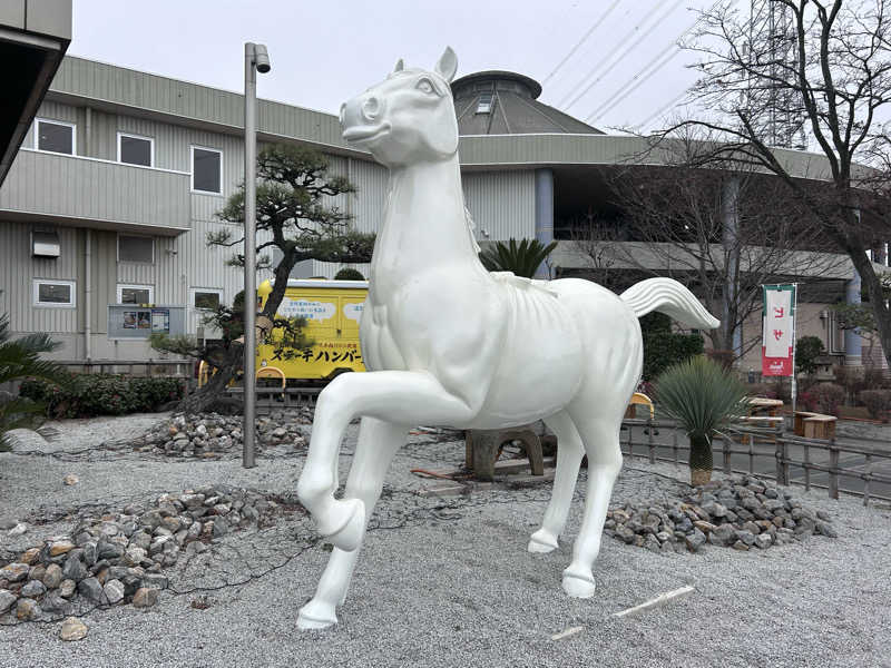 コムーさんのかすかべ湯元温泉のサ活写真