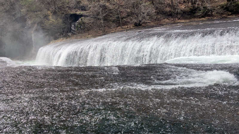 スギちゃんさんの南郷温泉 しゃくなげの湯のサ活写真