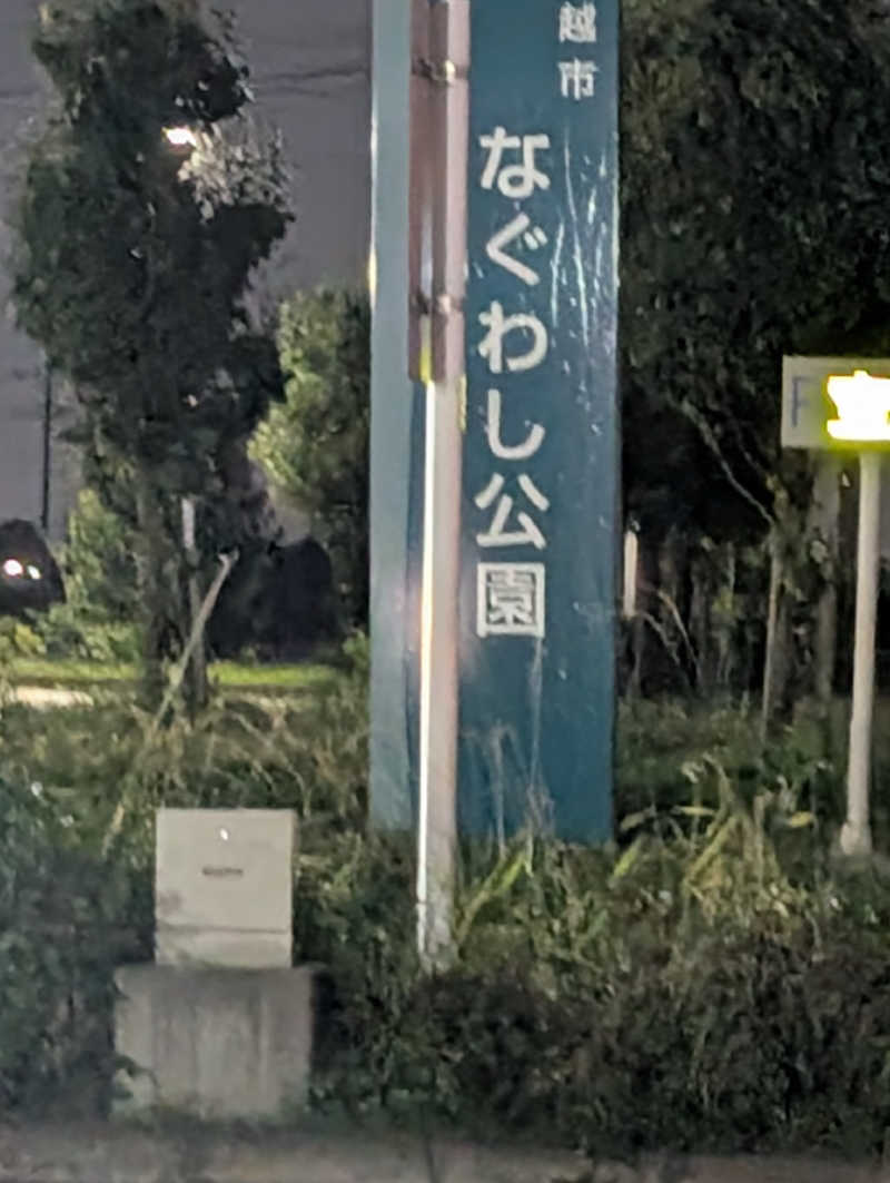 サウ爺さんの川越市 なぐわし公園PiKOAのサ活写真