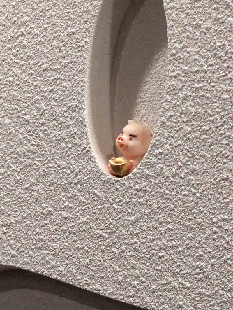 サウ爺さんの生姜サウナ 金の亀のサ活写真