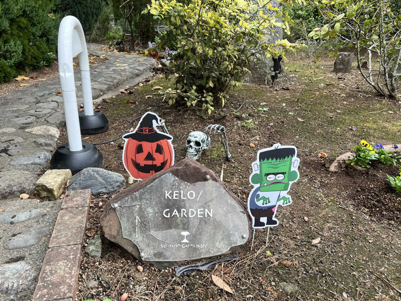 たまちゃん最高No.1さんの蓮台寺温泉 清流荘のサ活写真