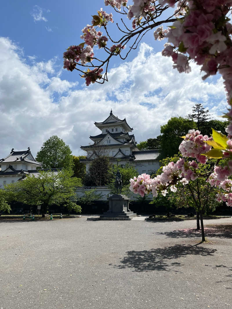 イナカエルさんの大垣サウナのサ活写真