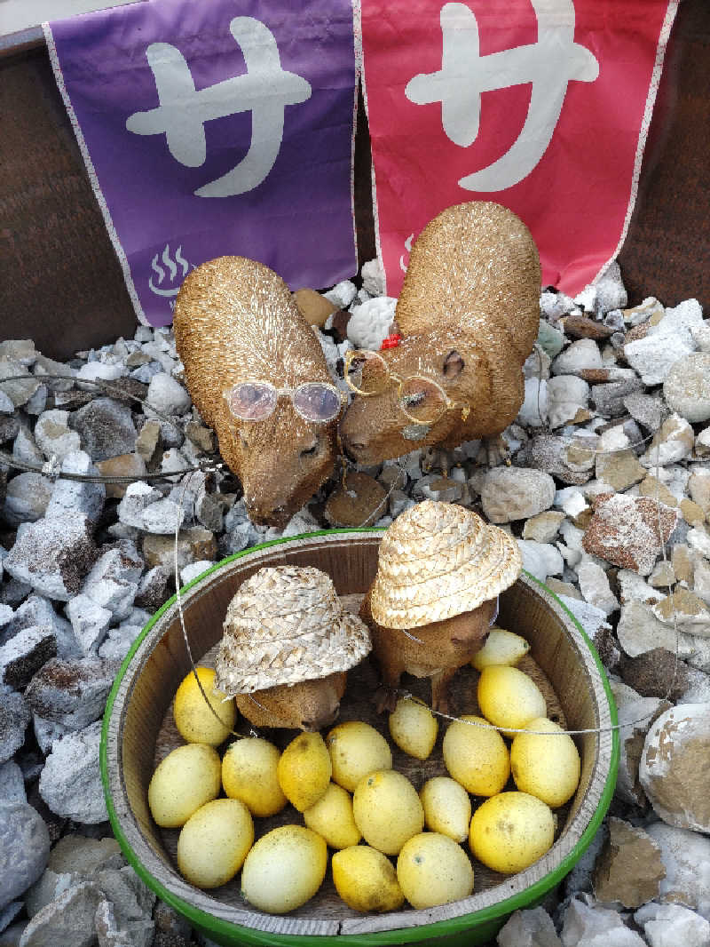 kokiさんの富士山天然水SPA サウナ鷹の湯のサ活写真