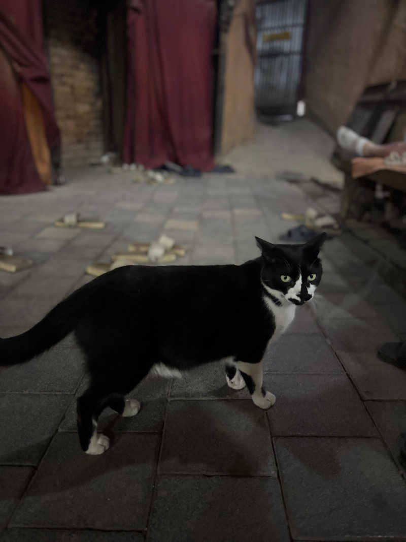 chinoiさんのスプソク漢方ランド(森の中の漢方ランド)のサ活写真