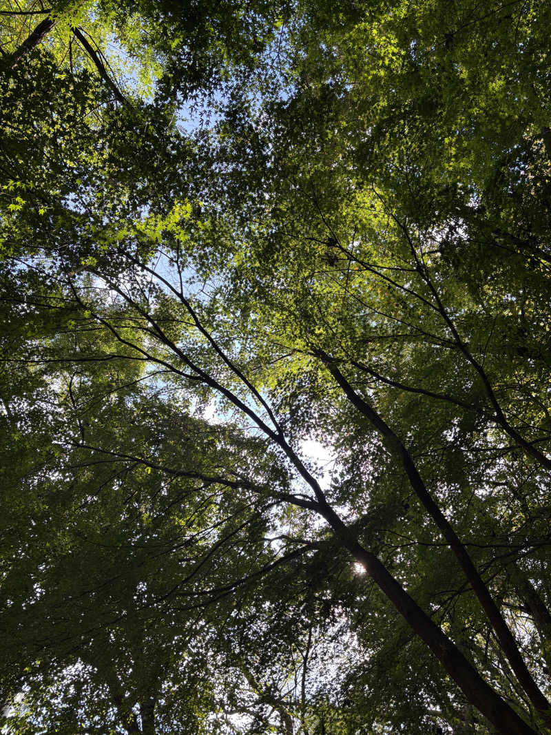 chinoiさんのスプソク漢方ランド(森の中の漢方ランド)のサ活写真