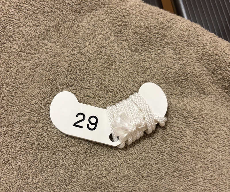 chinoiさんの湯あそびひろば 元湯･天然温泉 築地戎湯のサ活写真