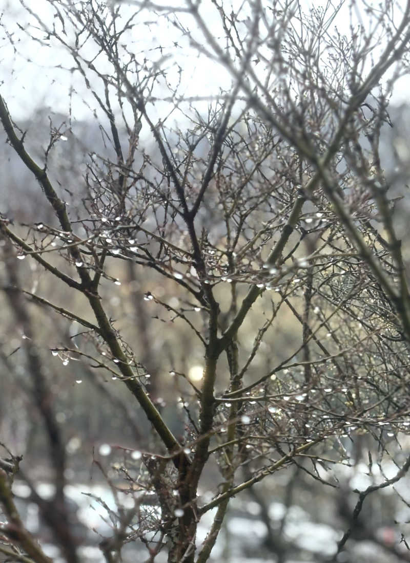 chinoiさんの美人湯 祥風苑のサ活写真