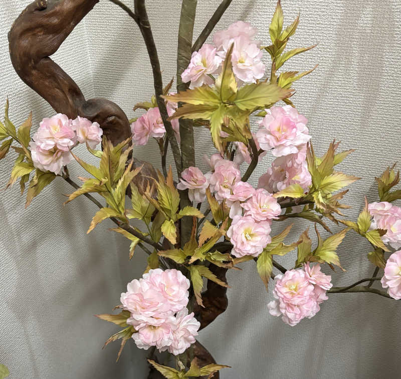 chinoiさんの石田湯のサ活写真