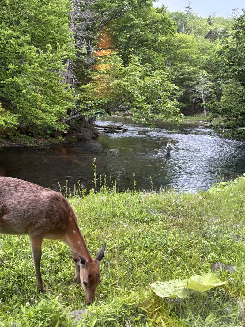 もこらさんのカムイの湯 ラビスタ阿寒川のサ活写真