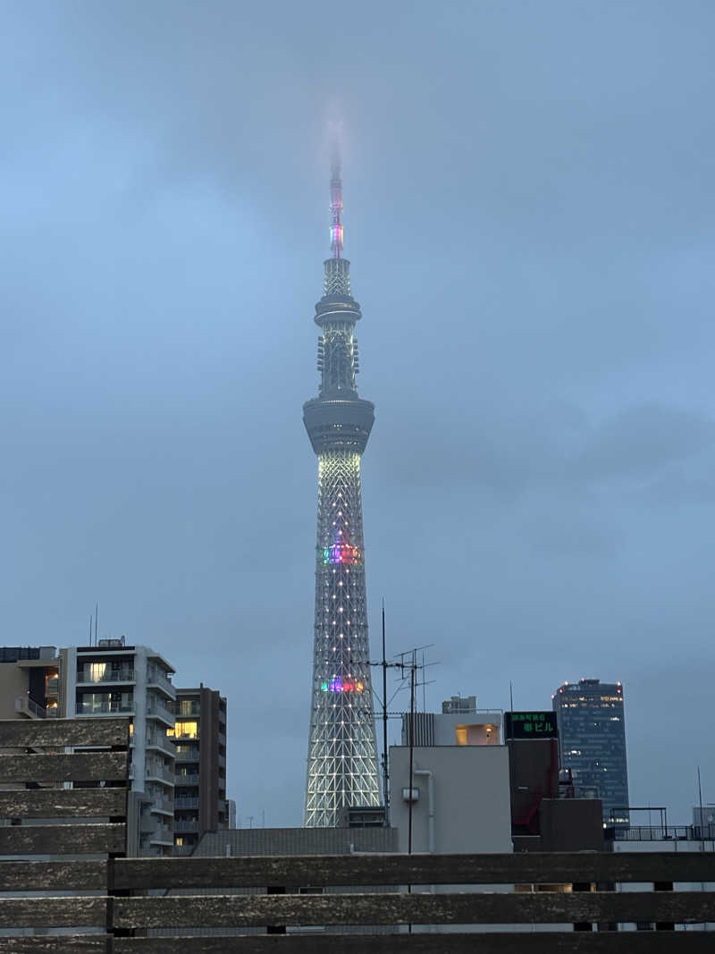 annさんのスパ&カプセルイン リアルサウナ錦糸町のサ活写真