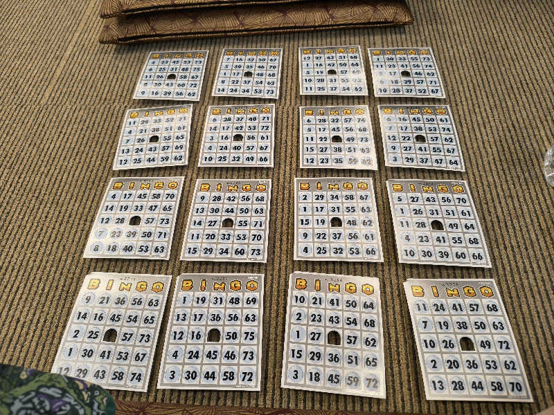 ミスタービンゴさんの湯乃泉 草加健康センターのサ活写真