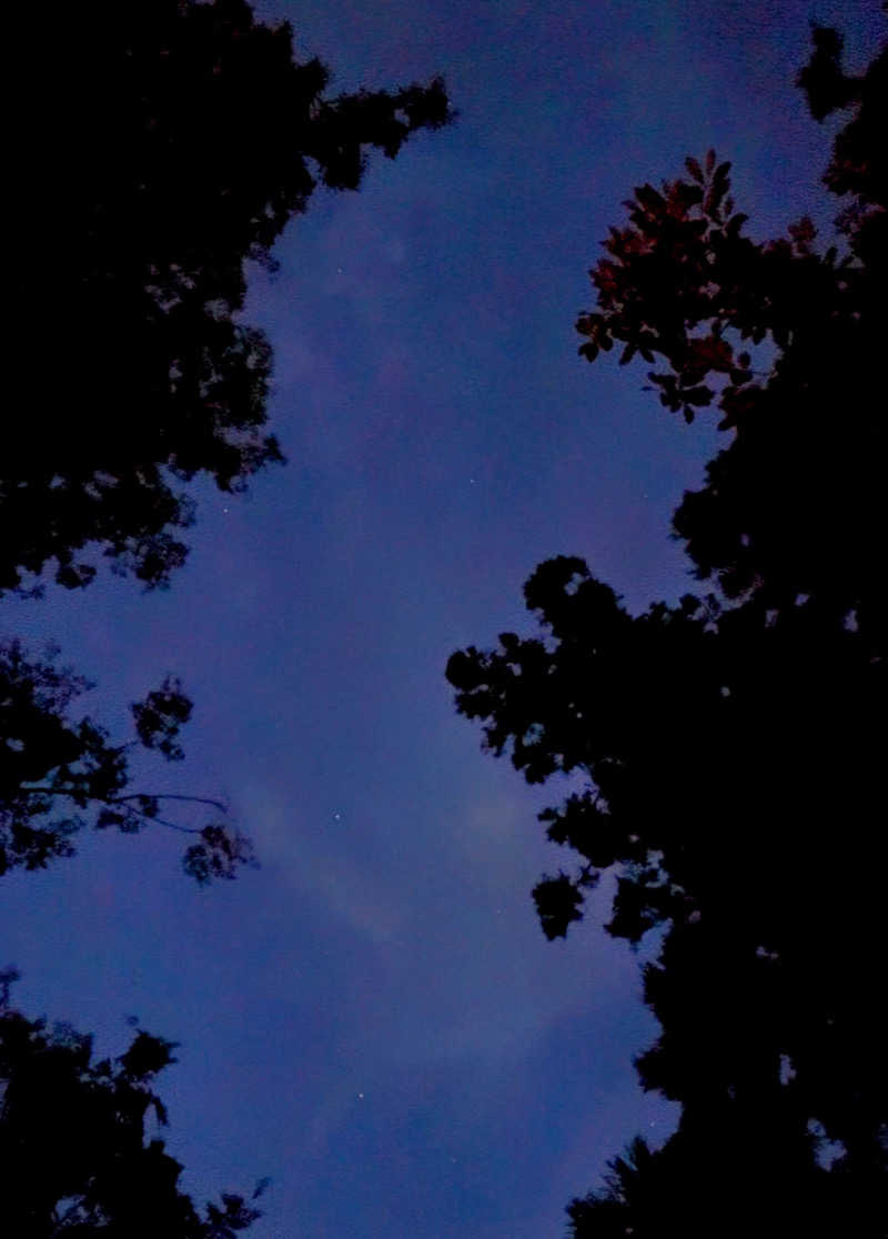 ピップさんのサウナ蓑蒸のサ活写真