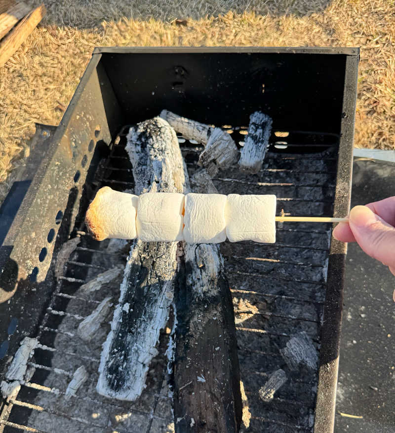 ピップさんの小美玉温泉 湯～GO!のサ活写真