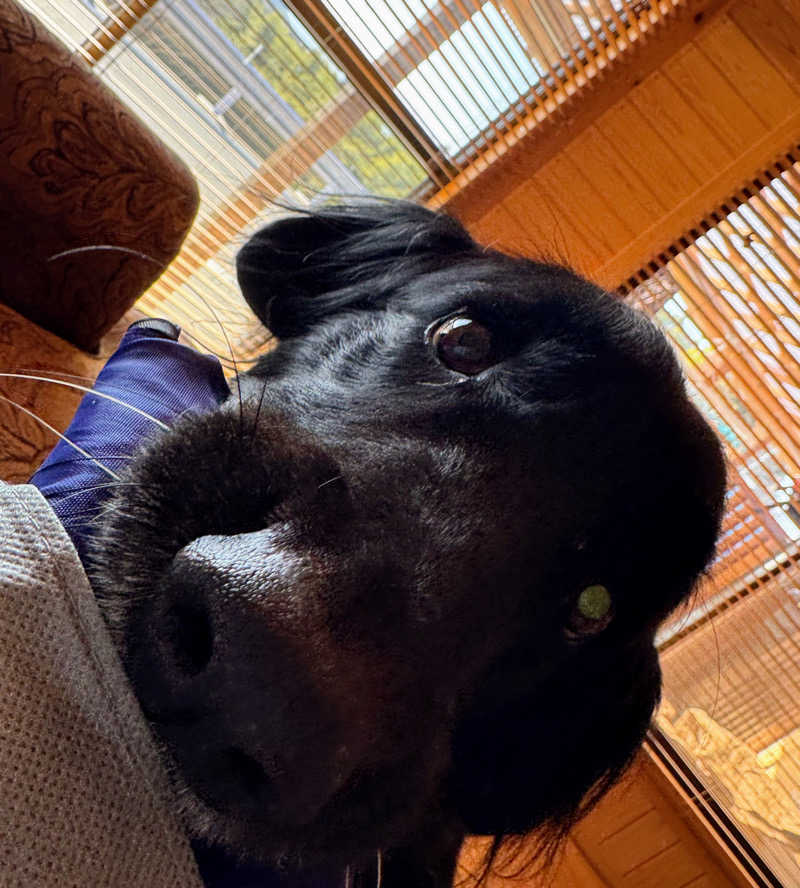 ピップさんのサウナ民泊こちやのサ活写真