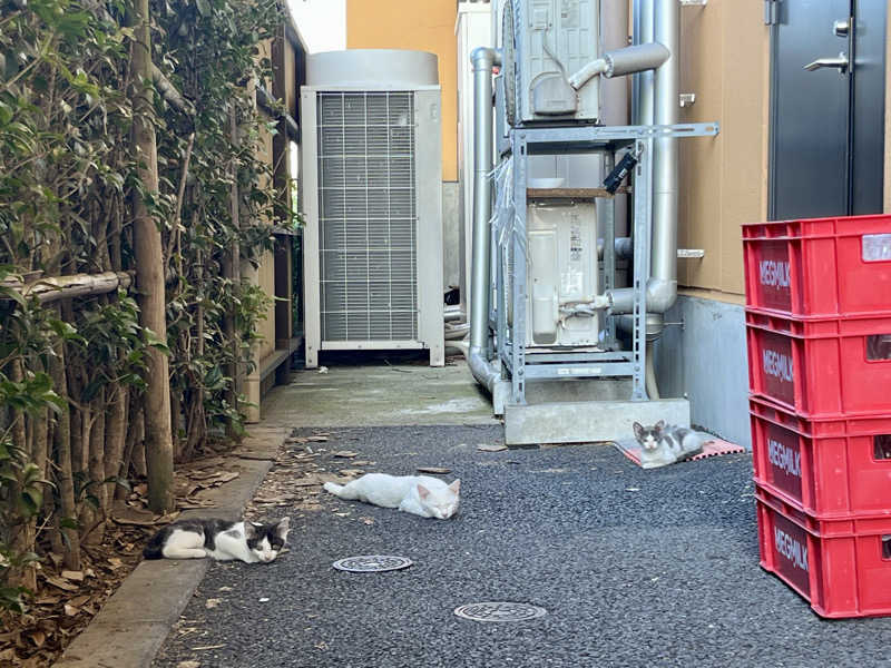 カラーひよこさんの上尾天然温泉 日々喜の湯のサ活写真