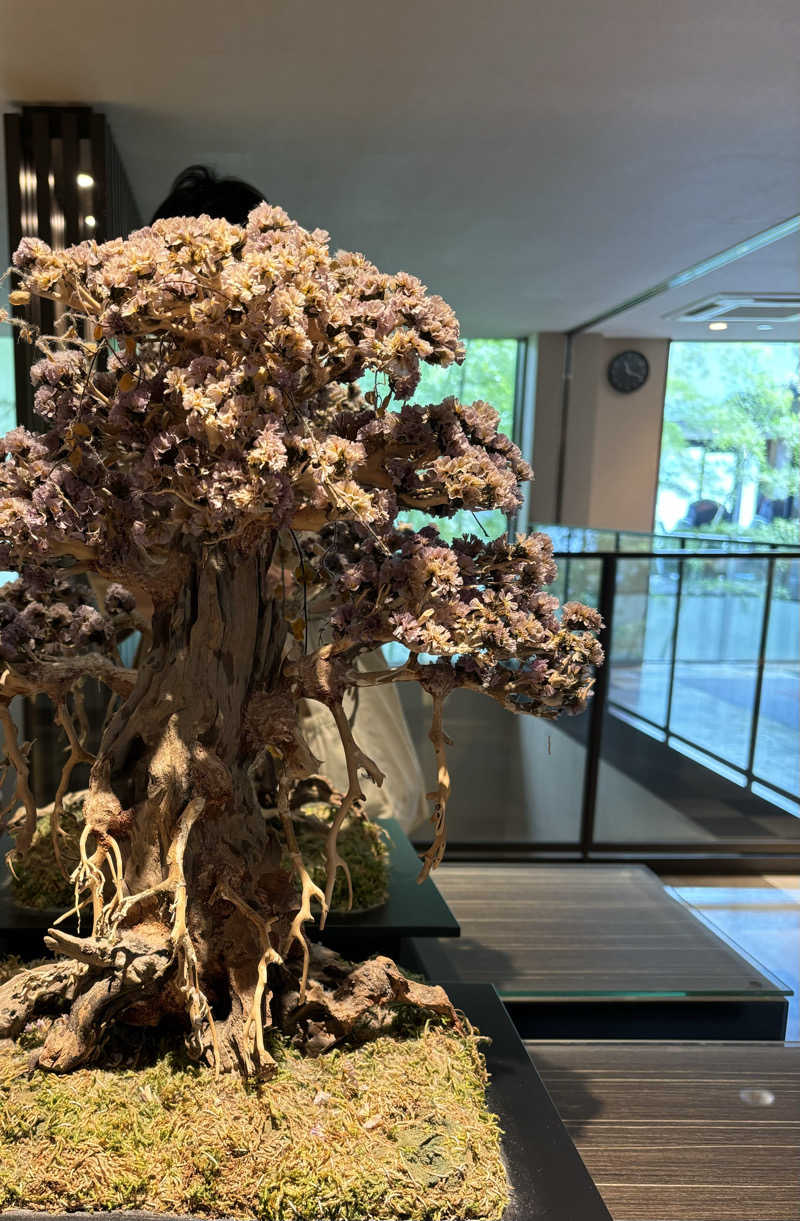 ぽかじんさんの虹の湯大阪狭山店のサ活写真