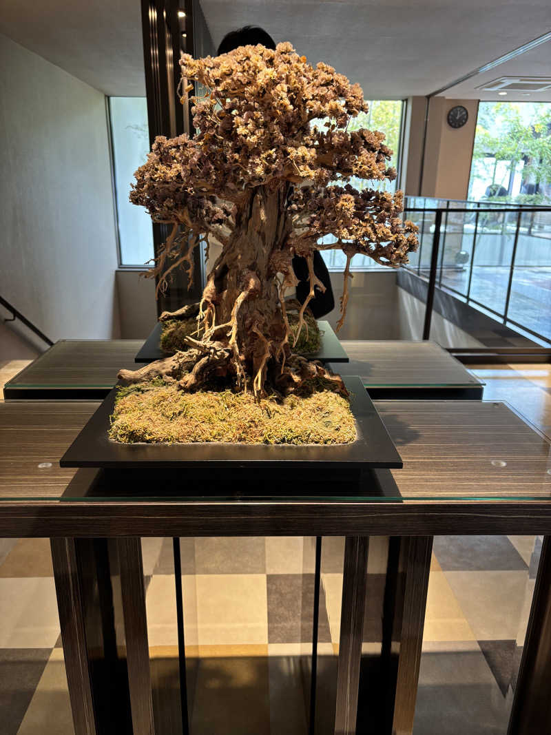 ぽかじんさんの虹の湯大阪狭山店のサ活写真