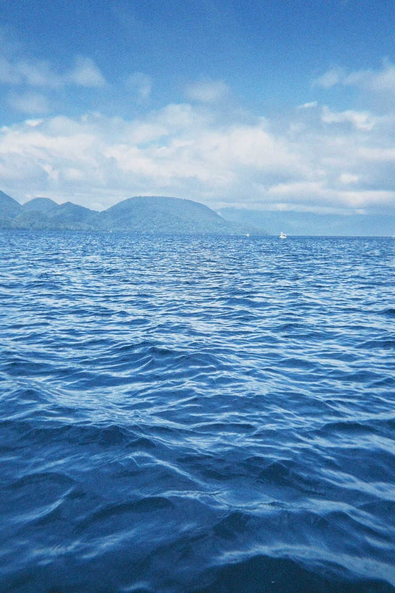 とっとこF太郎さんの洞爺湖万世閣 ホテルレイクサイドテラスのサ活写真