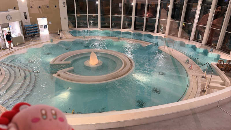 かしをりさんの豊島園 庭の湯のサ活写真