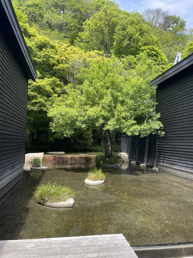 のぶさんの星野温泉 トンボの湯のサ活写真