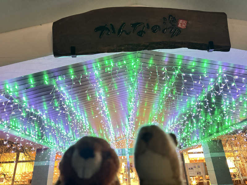 delarenai_さんのかんなの湯のサ活写真