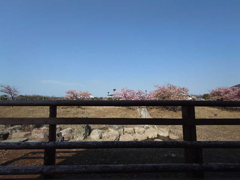 シャンデリアクラッシュさんの花湯スパリゾートのサ活写真