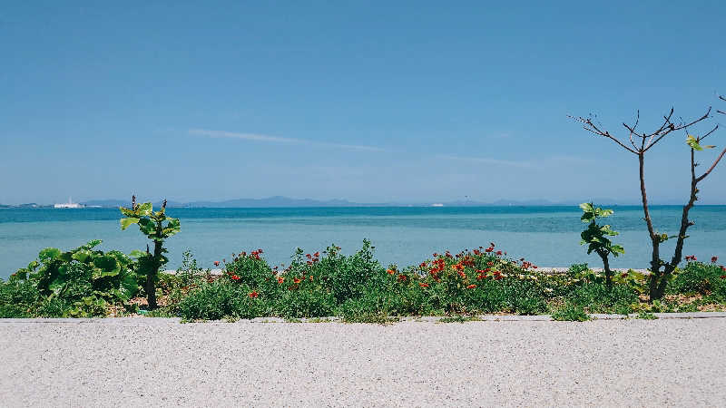 みるさまさんの琉球温泉 龍神の湯のサ活写真