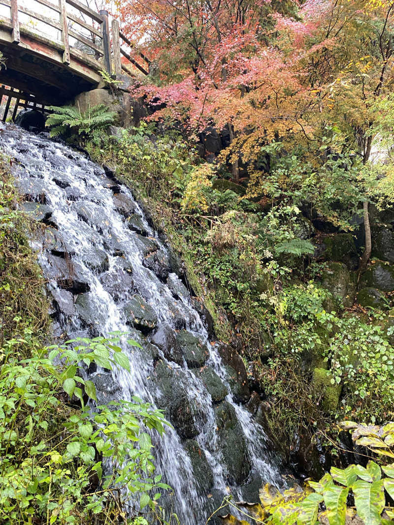 しまさんのザランタン(The Lantown) あば村|阿波森林公園のサ活写真