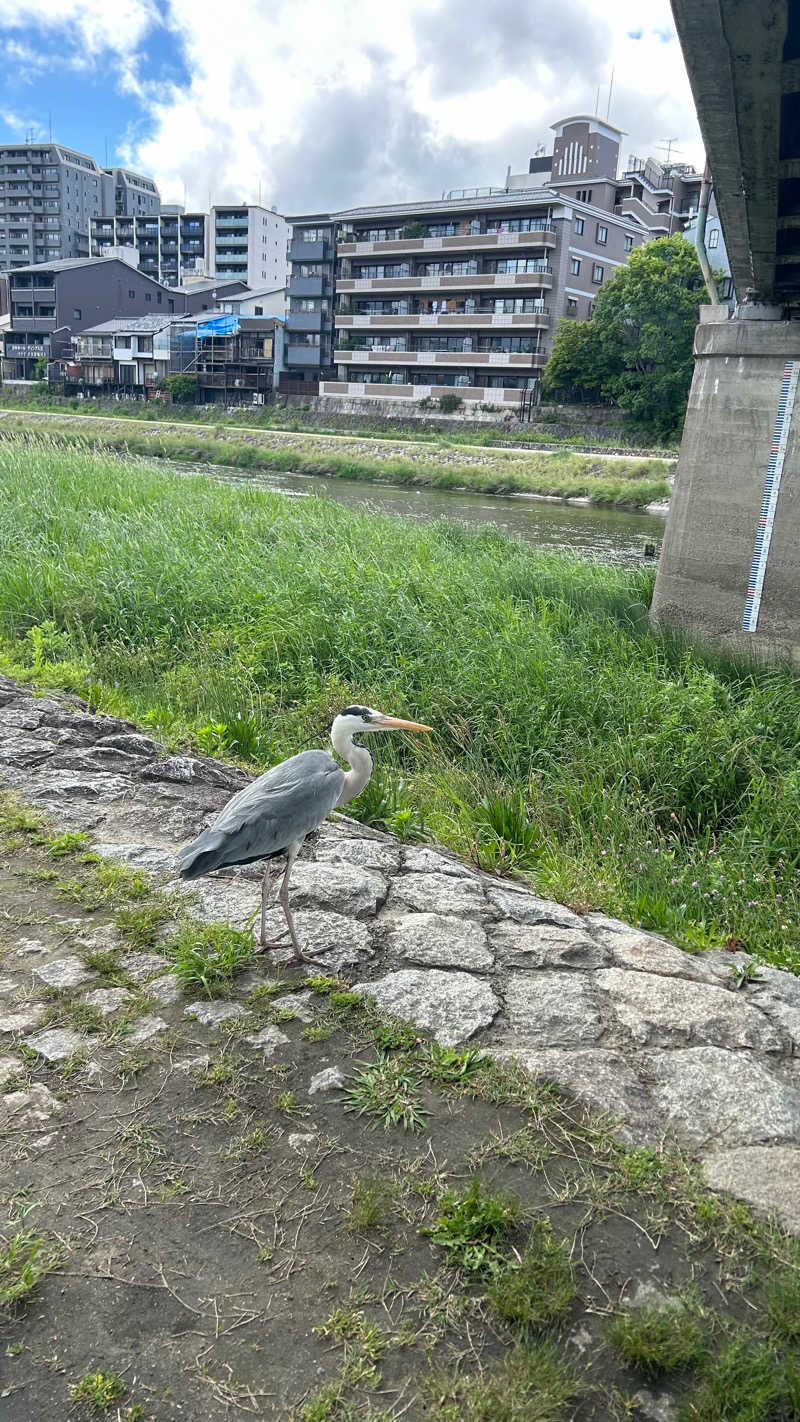 uomyaaoさんのサウナの梅湯のサ活写真