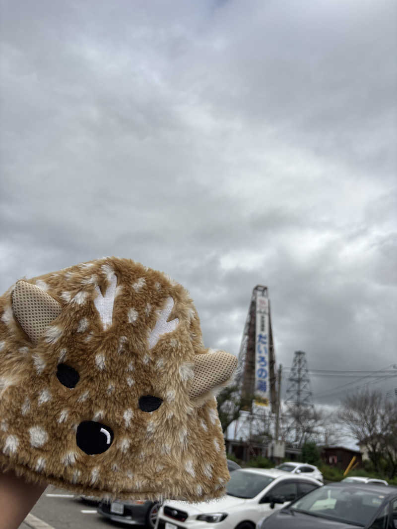 白騎士 サウナ室レインボー扇子の人さんの多宝温泉 だいろの湯のサ活写真