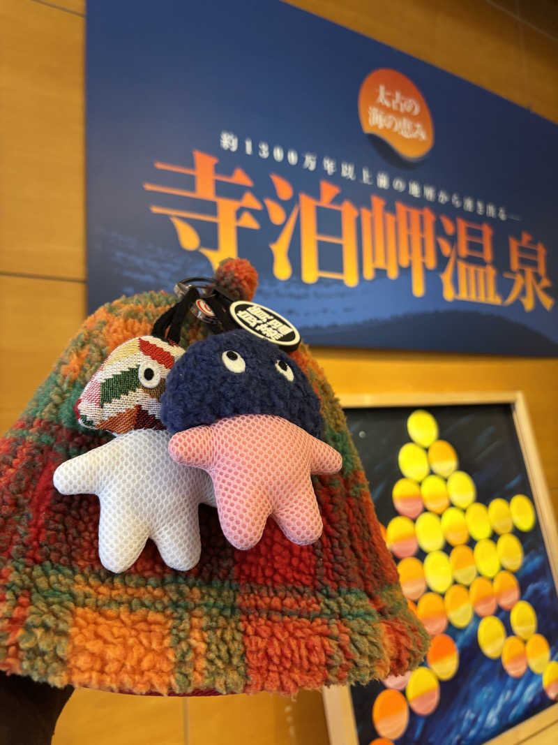 白騎士 サウナ室レインボー扇子の人さんの寺泊岬温泉ホテル飛鳥のサ活写真