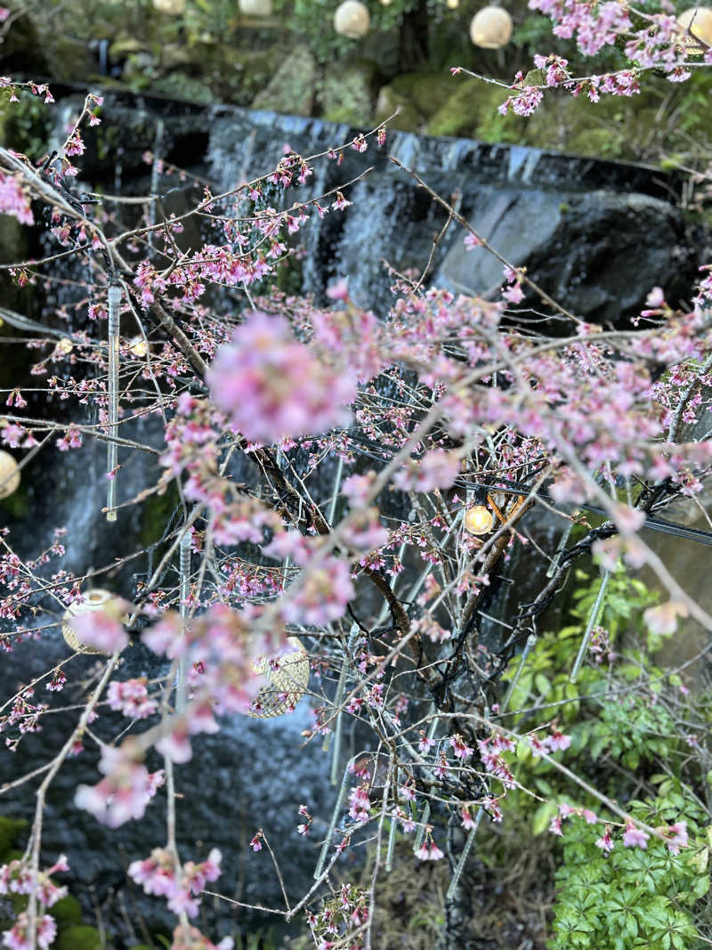 KOHさんの箱根小涌園 天悠のサ活写真