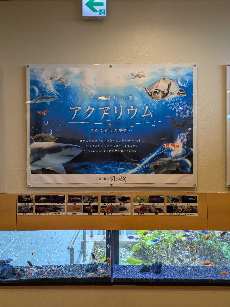 鳥さんの竹取温泉 灯りの湯のサ活写真