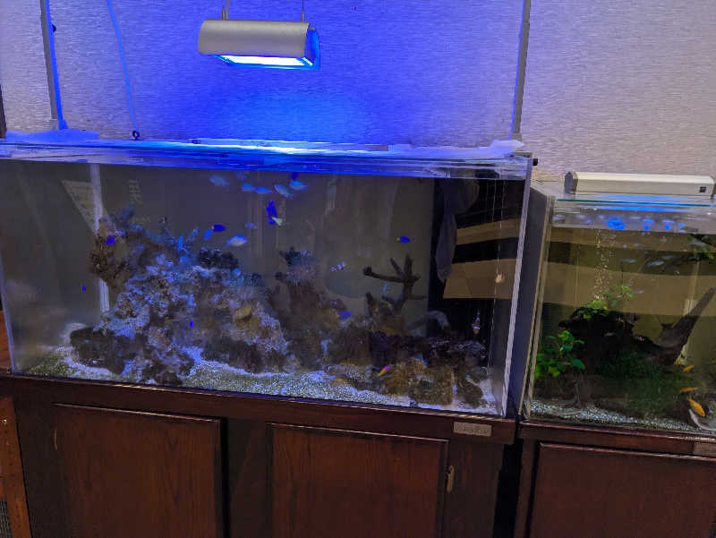 鳥さんの長命寺温泉 天葉の湯のサ活写真