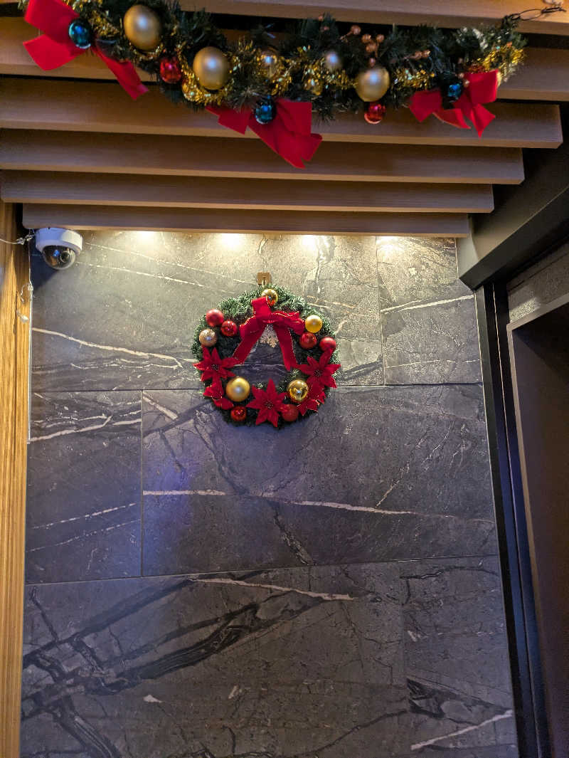 鳥さんのサウナ&カプセルホテル ルーマプラザのサ活写真