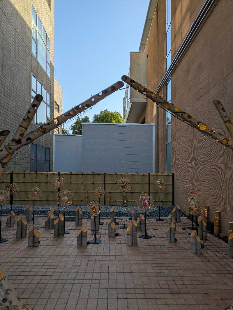 鳥さんの京都  竹の郷温泉  万葉の湯のサ活写真