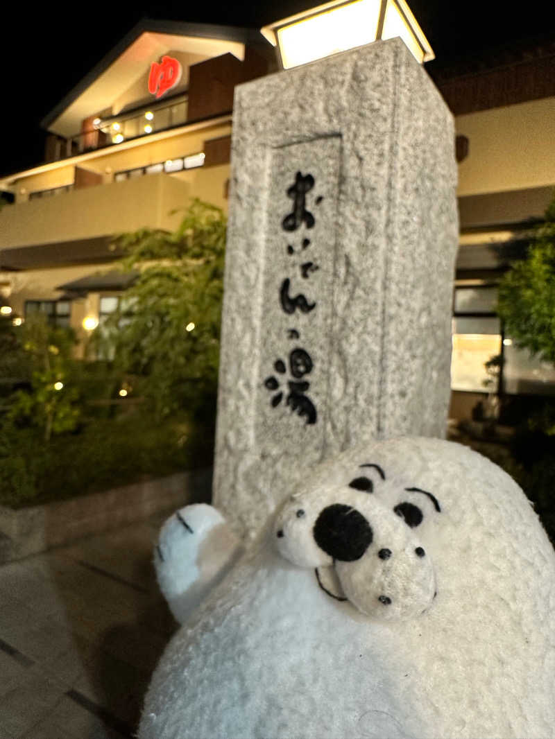 やぶい🐰さんの豊田挙母温泉 おいでんの湯のサ活写真