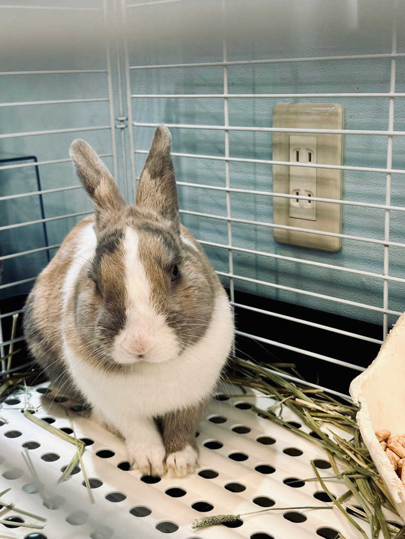 やぶい🐰さんのアクアリゾート 岐阜ふじの湯のサ活写真