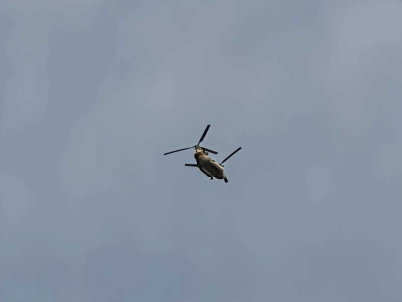 ダビデ象🐘さんの天間林温泉のサ活写真